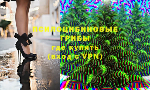 дурь Алексин